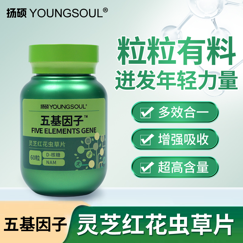 五基因子（灵芝红花虫草片)